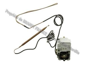 Thermostat double bulbo
