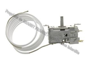 Thermostat a130344c106
