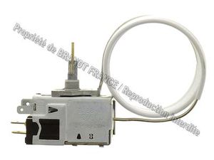 Thermostat  s20317