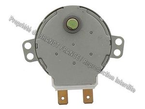Moteur rotor plateau 220vac 4-