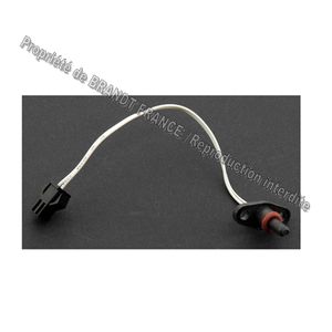 Sonde